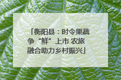 衡阳县：时令果蔬争“鲜”上市 农旅融合助力乡村振兴