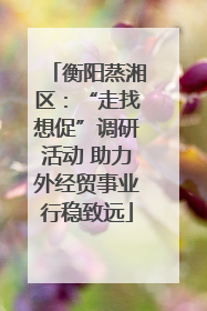 衡阳蒸湘区：“走找想促”调研活动 助力外经贸事业行稳致远