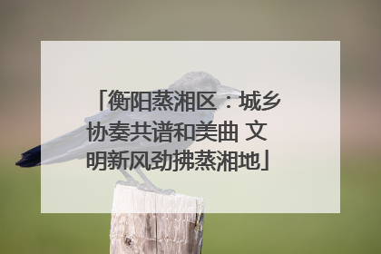 衡阳蒸湘区：城乡协奏共谱和美曲 文明新风劲拂蒸湘地