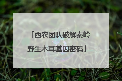 西农团队破解秦岭野生木耳基因密码