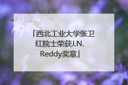 西北工业大学张卫红院士荣获J.N.Reddy奖章