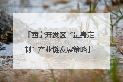 西宁开发区“量身定制”产业链发展策略