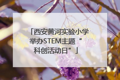 西安黄河实验小学举办STEM主题“科创活动日”