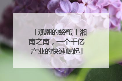观潮的螃蟹丨湘南之南，一个千亿产业的快速崛起