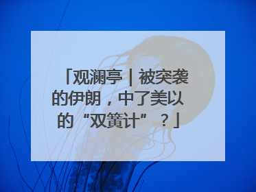观澜亭｜被突袭的伊朗，中了美以的“双簧计”？