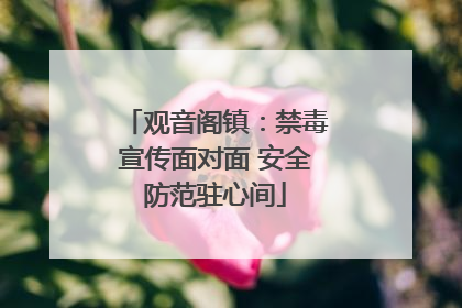 观音阁镇：禁毒宣传面对面 安全防范驻心间
