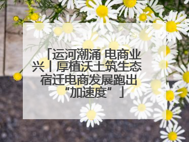 运河潮涌 电商业兴丨厚植沃土筑生态 宿迁电商发展跑出“加速度”