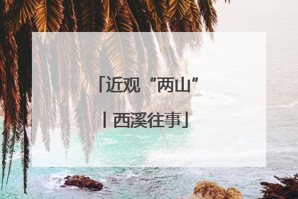 近观“两山”丨西溪往事