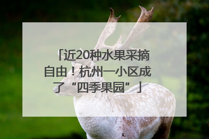近20种水果采摘自由！杭州一小区成了“四季果园”