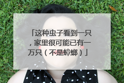 这种虫子看到一只，家里很可能已有一万只（不是蟑螂）