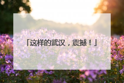 这样的武汉，震撼！