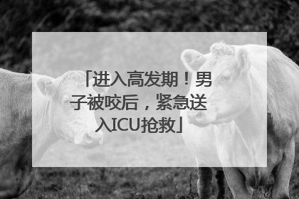 进入高发期！男子被咬后，紧急送入ICU抢救