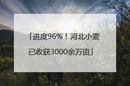 进度96%！河北小麦已收获3000余万亩