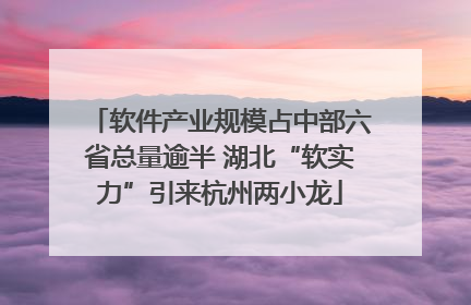 软件产业规模占中部六省总量逾半 湖北“软实力”引来杭州两小龙