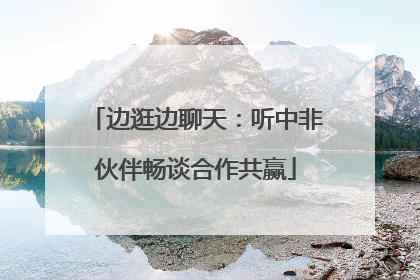 边逛边聊天：听中非伙伴畅谈合作共赢