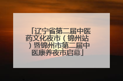 辽宁省第二届中医药文化夜市（锦州站）暨锦州市第二届中医康养夜市启幕