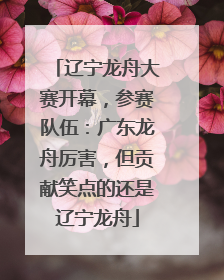 辽宁龙舟大赛开幕，参赛队伍：广东龙舟厉害，但贡献笑点的还是辽宁龙舟