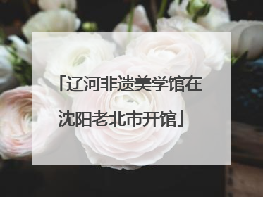 辽河非遗美学馆在沈阳老北市开馆