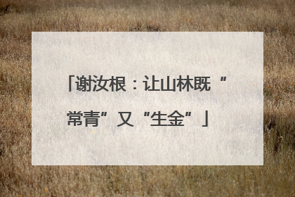 谢汝根：让山林既“常青”又“生金”