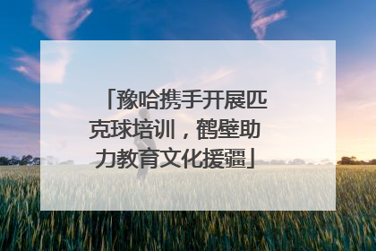 豫哈携手开展匹克球培训，鹤壁助力教育文化援疆