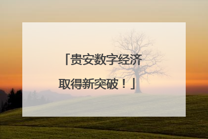 贵安数字经济取得新突破！