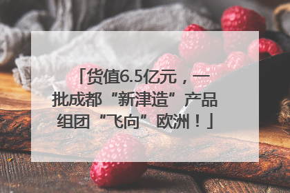 货值6.5亿元，一批成都“新津造”产品组团“飞向”欧洲！
