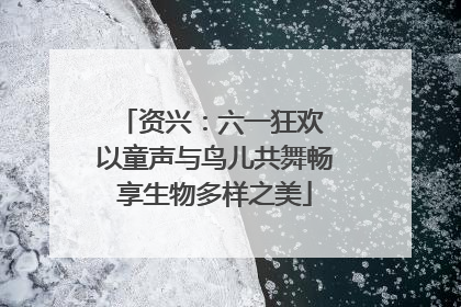 资兴：六一狂欢 以童声与鸟儿共舞畅享生物多样之美