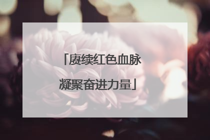 赓续红色血脉 凝聚奋进力量