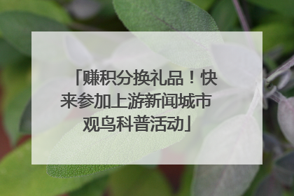 赚积分换礼品！快来参加上游新闻城市观鸟科普活动