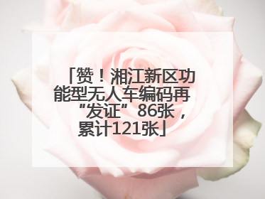 赞！湘江新区功能型无人车编码再“发证”86张，累计121张