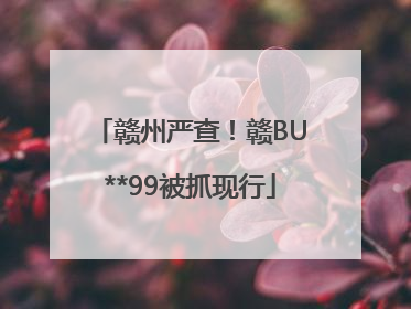 赣州严查！赣BU**99被抓现行