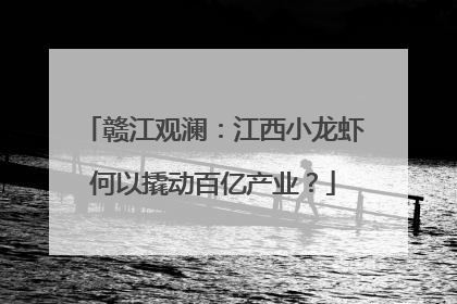 赣江观澜：江西小龙虾何以撬动百亿产业？