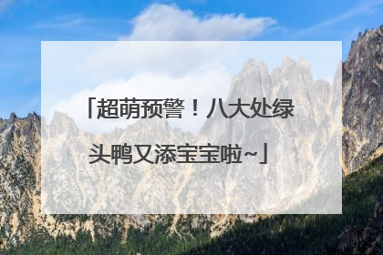 超萌预警！八大处绿头鸭又添宝宝啦~