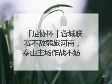 足协杯｜蓉城联赛不敌弱旅河南，泰山主场作战不妨“抄作业”