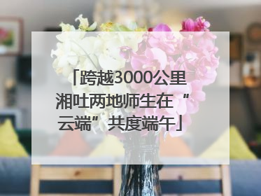 跨越3000公里 湘吐两地师生在“云端”共度端午