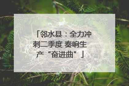 邻水县：全力冲刺二季度 奏响生产“奋进曲”