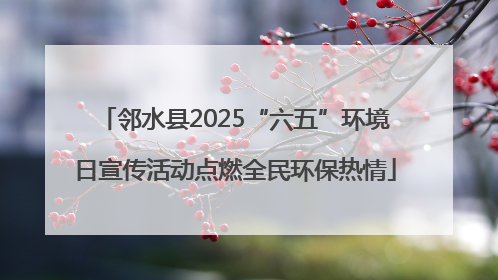 邻水县2025“六五”环境日宣传活动点燃全民环保热情