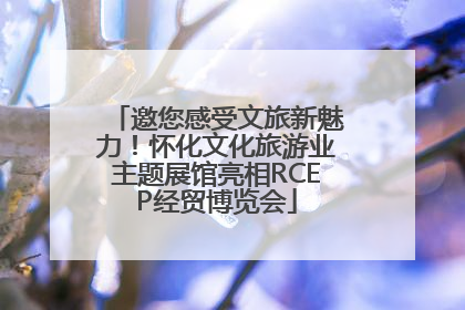 邀您感受文旅新魅力！怀化文化旅游业主题展馆亮相RCEP经贸博览会