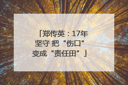 郑传英：17年坚守 把“伤口”变成“责任田”