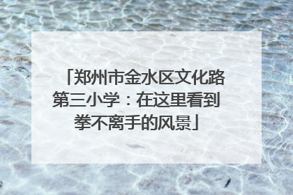郑州市金水区文化路第三小学：在这里看到拳不离手的风景