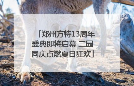 郑州方特13周年盛典即将启幕 三园同庆点燃夏日狂欢
