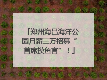 郑州海昌海洋公园月薪三万招募“首席摸鱼官”！