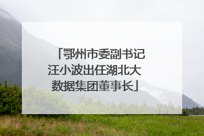 鄂州市委副书记汪小波出任湖北大数据集团董事长