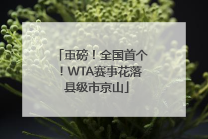 重磅！全国首个！WTA赛事花落县级市京山