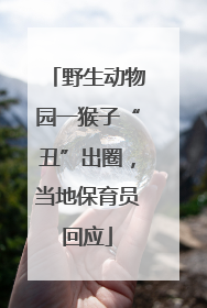 野生动物园一猴子“丑”出圈，当地保育员回应