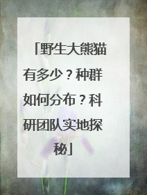 野生大熊猫有多少？种群如何分布？科研团队实地探秘