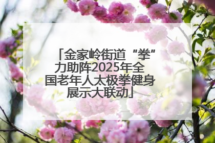金家岭街道“拳”力助阵2025年全国老年人太极拳健身展示大联动