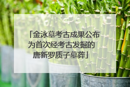 金泳墓考古成果公布 为首次经考古发掘的唐新罗质子墓葬