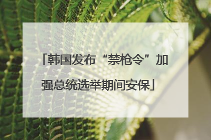 韩国发布“禁枪令”加强总统选举期间安保