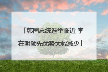韩国总统选举临近 李在明领先优势大幅减少